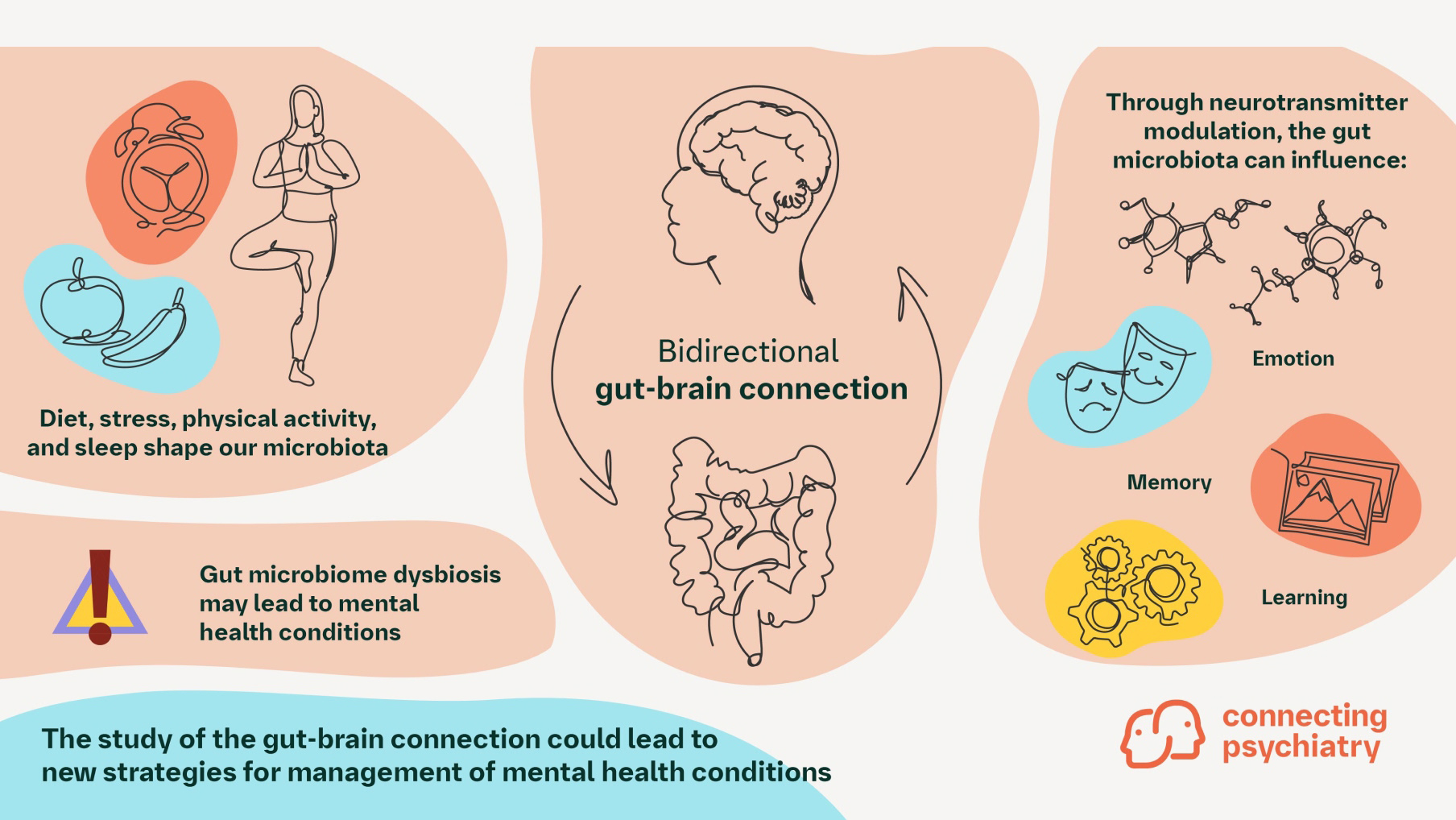 Bidirectional gut-brain connection
